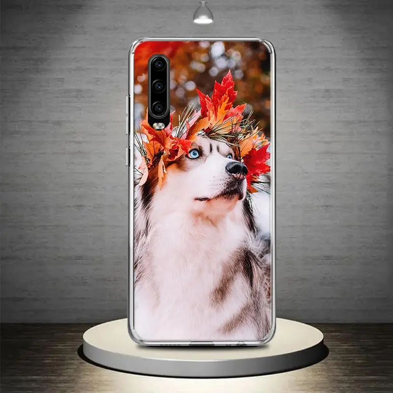 Чехол для телефона Huawei P30 P40 P10 P50 P20 Lite P Mate 10 20 30 40 Pro + чехол с художественным