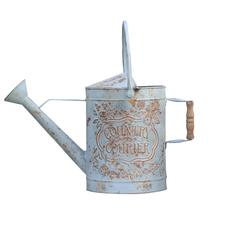 

Металлические канистры для полива