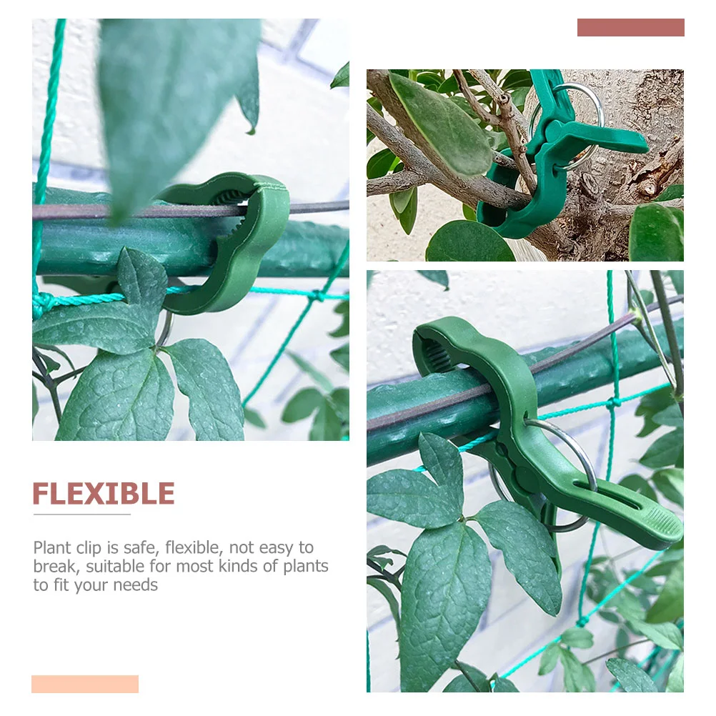 50 шт. садовые зажимы для огурцов решетка растений горшечных пластиковых