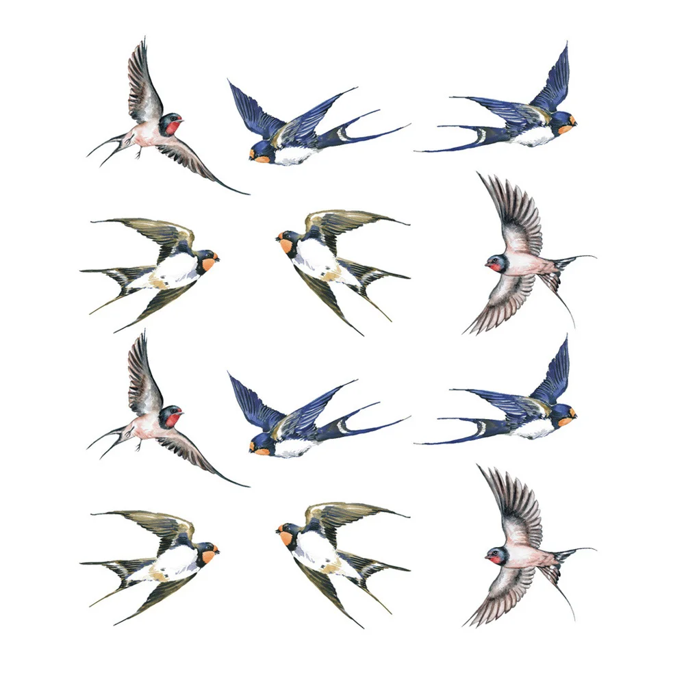 

Window Bird Clings Stickers Decals Sticker Birds Collision Anti Alert Wall Hummingbird Vinyl Strikes Clingfilmglue Static Decal
