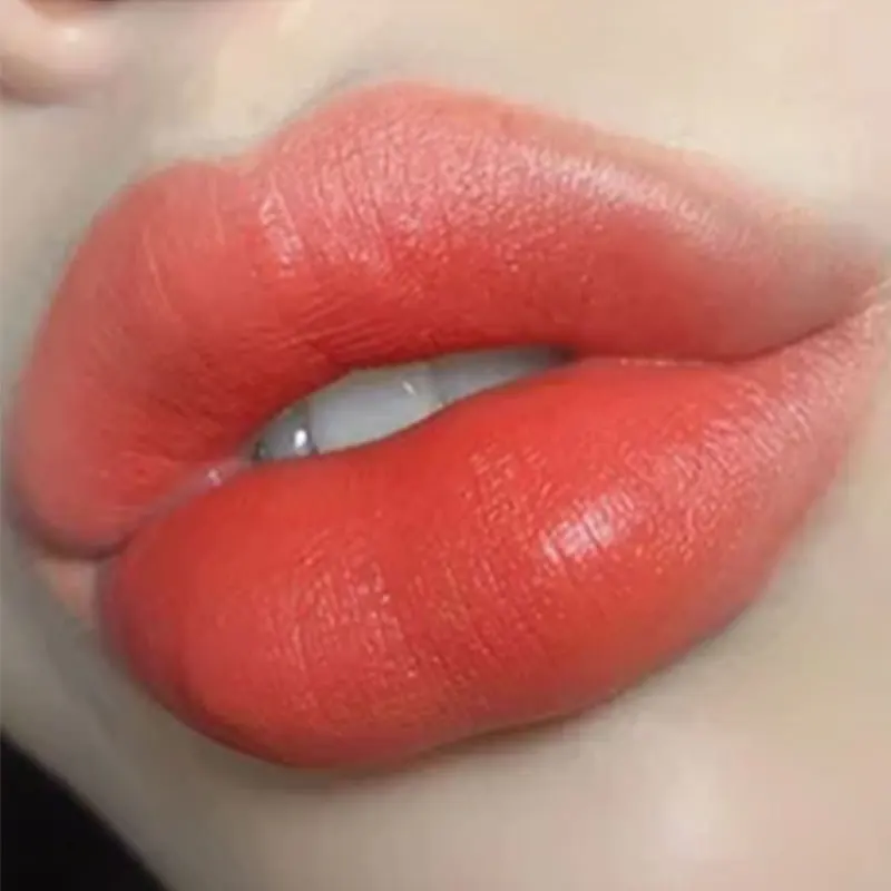 

4 Colors Matte Velvety Lip Gloss Liquid Waterproof Long-lasting Lipstick Tint Full rich Cute Lip Korean Makeup Tools Wholesale