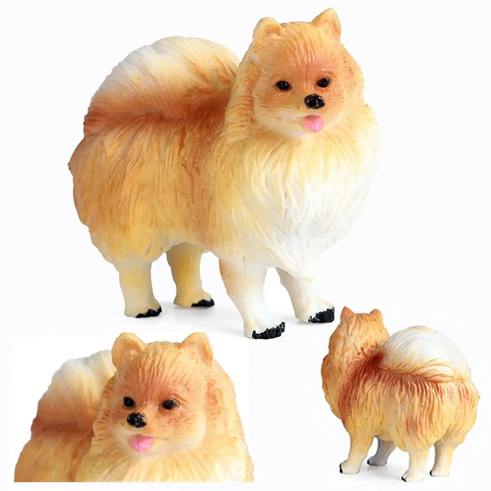 

Micro Landscape Educational Toy Science & Nature Lifelike Puppy Early Learning Pomeranian Models Pet Dog Figurines