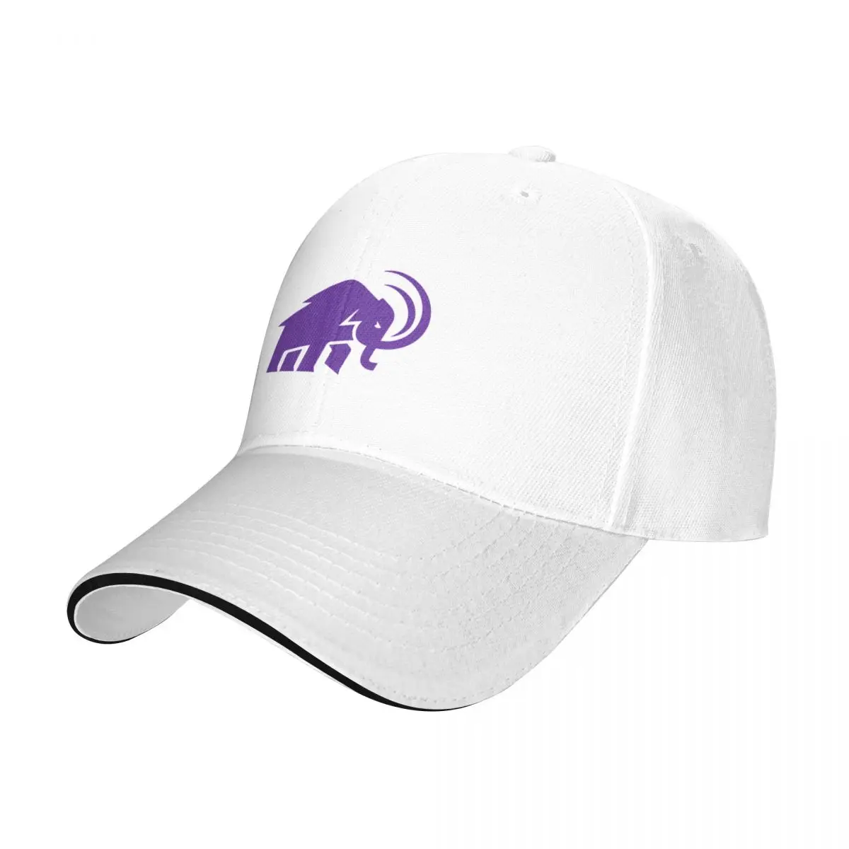 Бейсболка Amherst для колледжа Мужская кепка альпинизма с солнцезащитным козырьком