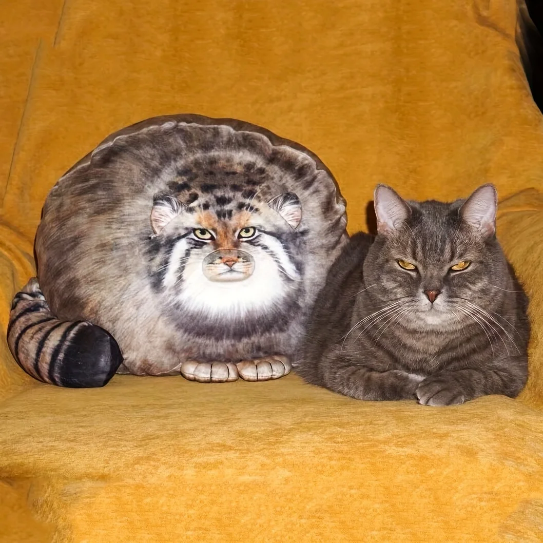 

Милый плюшевый Кот Pallas's Cat, подушка 14 дюймов, милая серая и коричневая кошка, мягкие плюшевые игрушки для котят