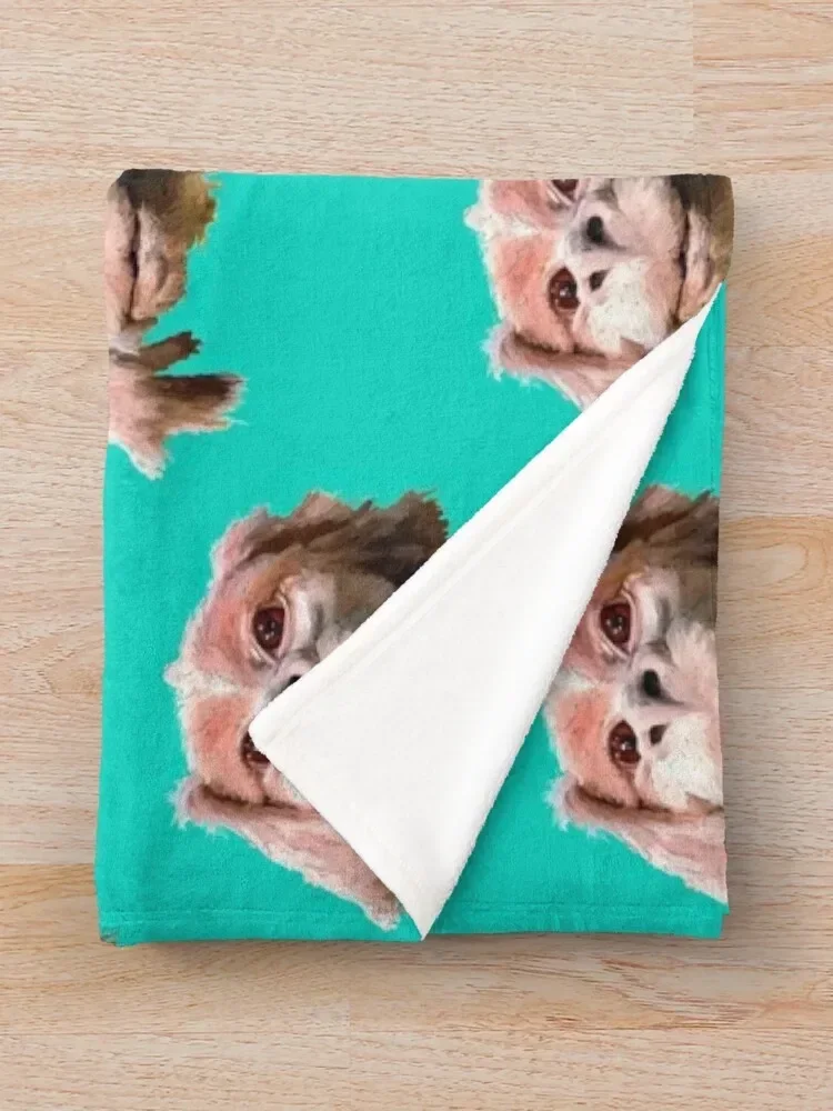 Falkor a Дракон Удачи высококачественное одеяло милые винтажные одеяла в клетку