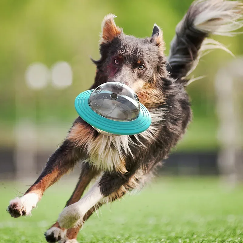 

Saucer Dog Game Flying Discs Toys Cat Chew Leaking Slow Food Feeder Ball Puppy IQ Training Toy Anti Choke Puzzle Dogs