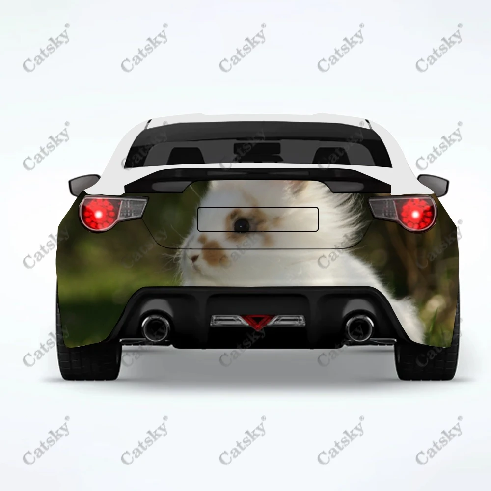 

angora rabbit animal Car stickers truck rear tail modification painting suitable for truck pain car packaging accessories decals