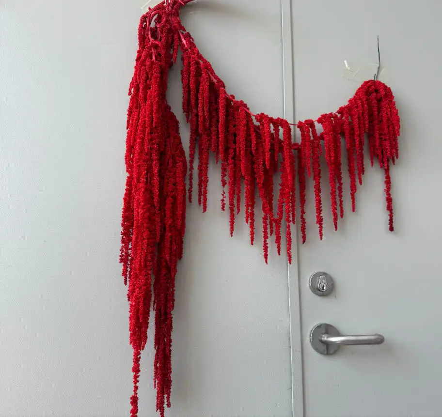 Сухие цветы YN HI FLOWER ENJOY YOUR LIFE  для декора