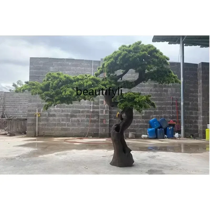 Имитация приветствия сосна ложного дерева резьба по корню сосны Архат