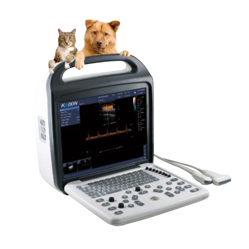 Ce Iso  Laptop Portable Mindray Dp-10 Ultrasonic Full Digital Animals Veterinary Echo Ecograpghy Ultrasound