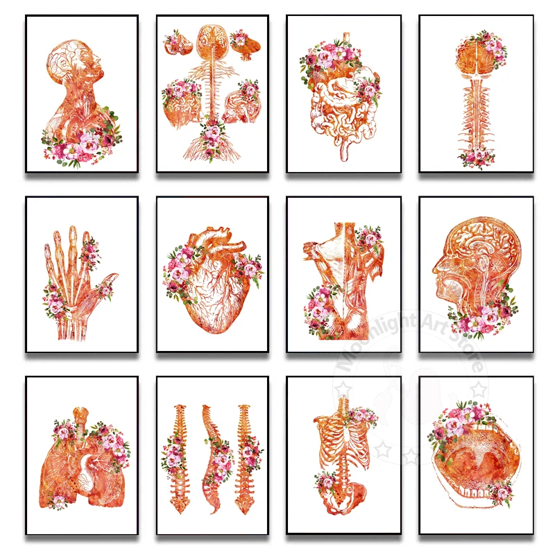 

Abstract Human Anatomy Poster Folwers Medical Wall Art Picture Muscle Skeleton Painting Canvas Print Modern Education Room Decor