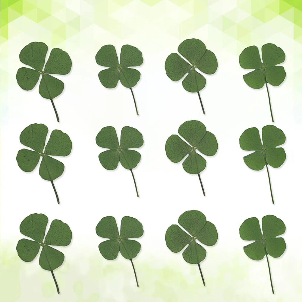 12 шт. милые четырехлистные сушеные ювелирные аксессуары декоративные материалы