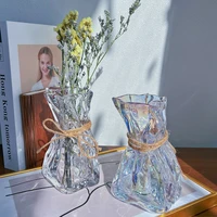 nordic ins wind glass vase decoration living room high quality transparent water raising flower arrangement tulip decoration