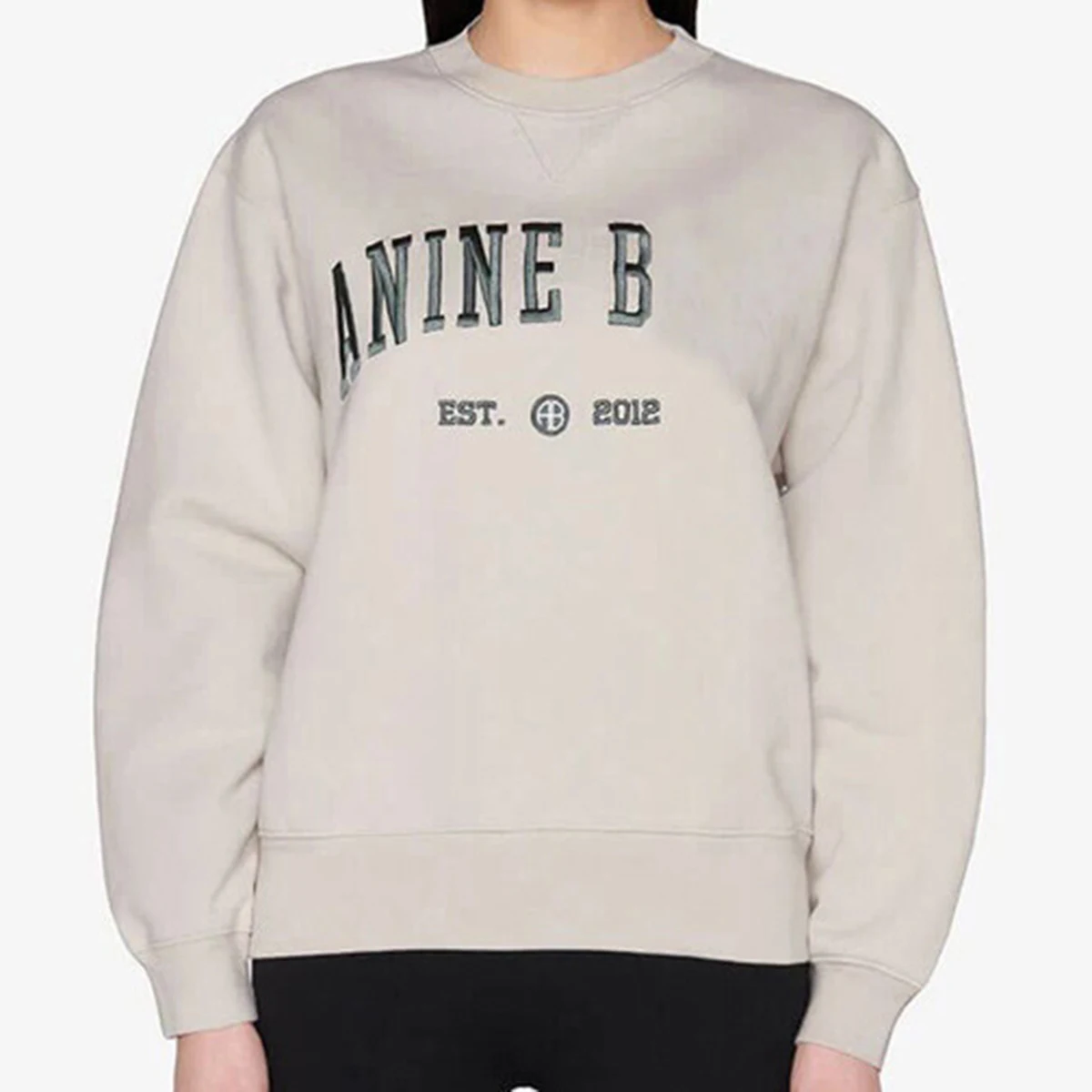 

Jyate Embroidered Letter Fleece Sweatshirt Women Autumn Cotton Classic Pullover Casual Vintage Streetwear Basic Tracksuit Tops