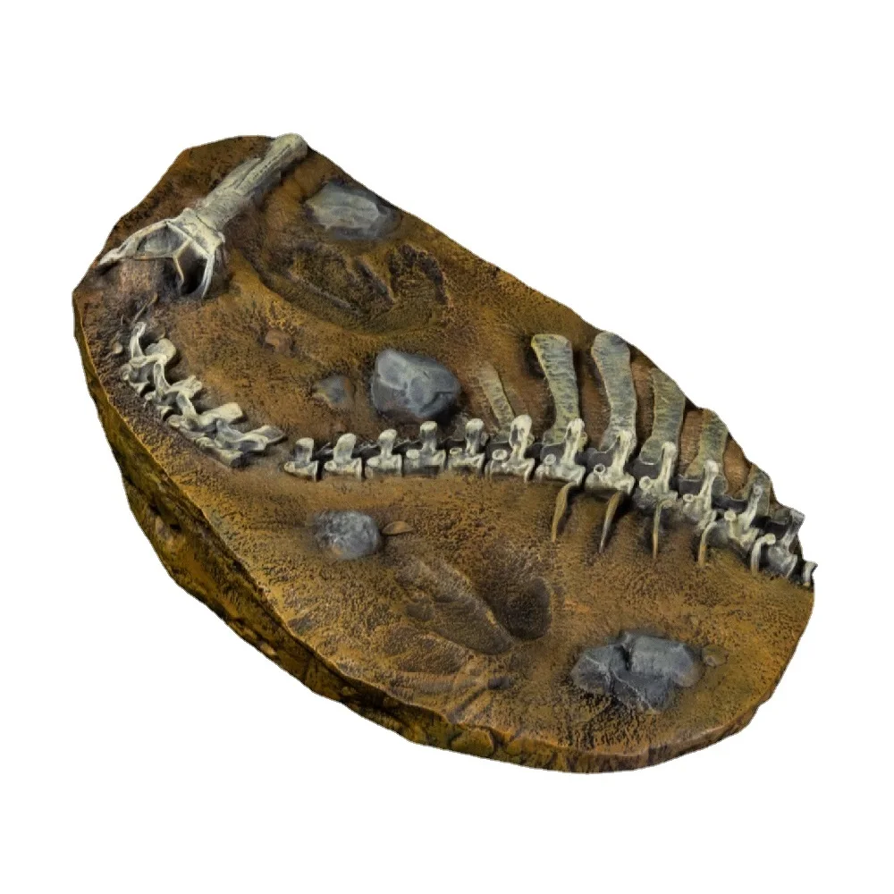 Продажа В наличии 1:35 Nanmu студия тираннозавр рекс динозавры мастер с базой доисторические животные игрушка кукла с подвижными челюстями 5-я годовщин... Дешево В наличии 1:35 Nanmu студия тираннозавр рекс динозавры мастер с базой доисторические животные игрушка кукла с подвижными челюстями 5-я годовщин...