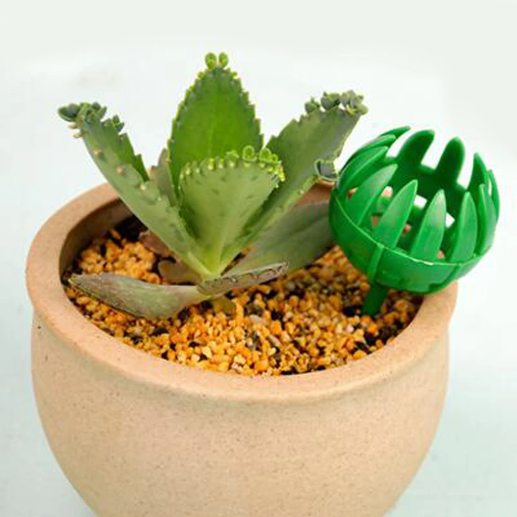 

10 шт. корзины, садовые инструменты, размер, растения, цветочный горшок, Орхидея, бонсай