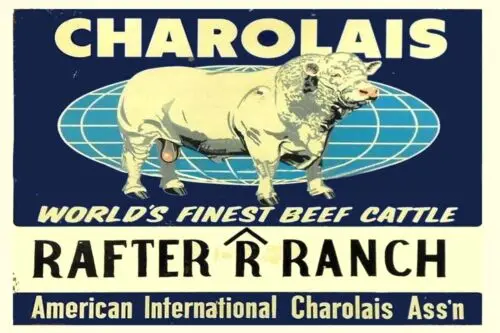 Char유 Rafter r Ranch Fine Beef Cattle Жестяная вывеска 8 x 12 ВСЕ металл
