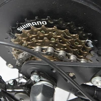 Электровелосипед HOT WOLF#5