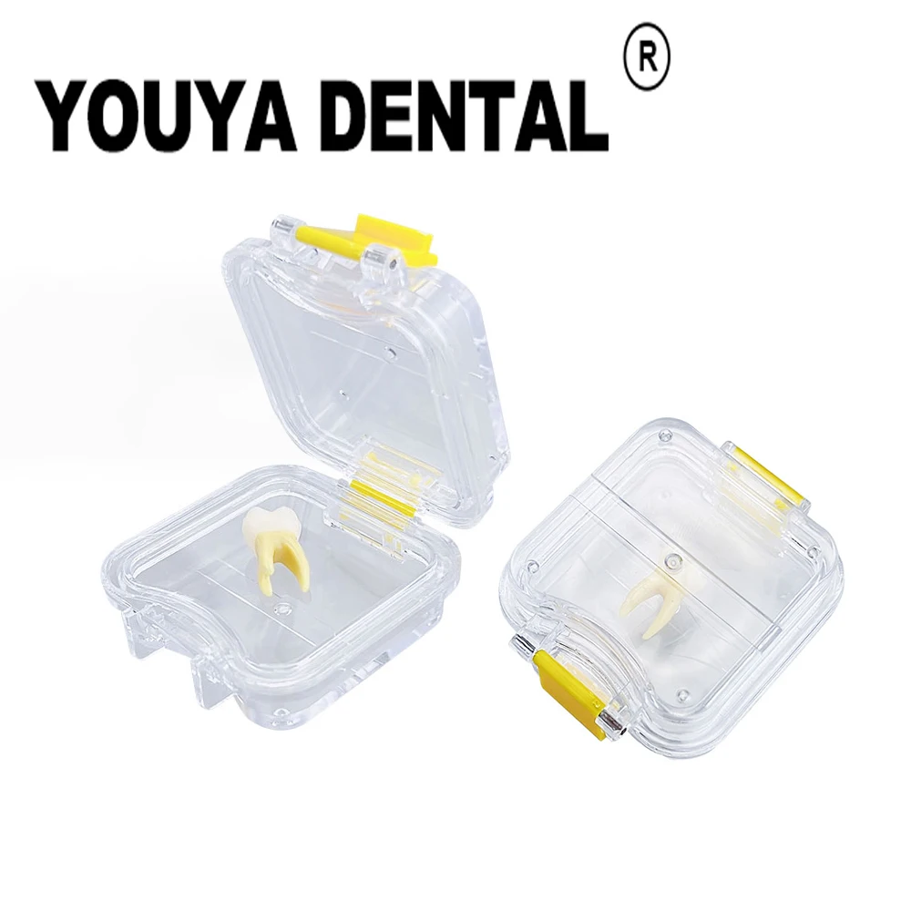 

20pcs Denture Tooth Box with Film Plastic False Tooth Storage Case Dental Implant Membrane Tooth Box Dental Clinic Gift