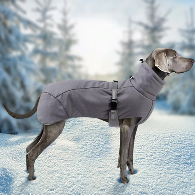 

For Medium Large Dogs Weimaraner Greyhound Boutique Clothing Outfits Warm Winter Big Dog Clothes High Quality Pet Jacket Coat