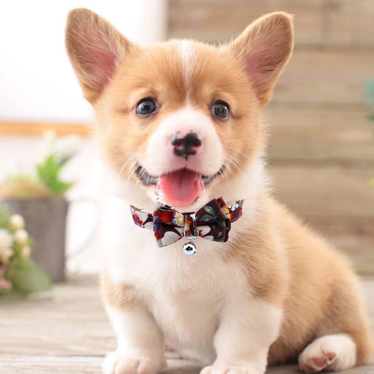 

Wholesale Rope Dog Leash And Collar Set Pet Collars Colorful Floral Printed Dogs Walking Leash Durable for Small Medium Dogs