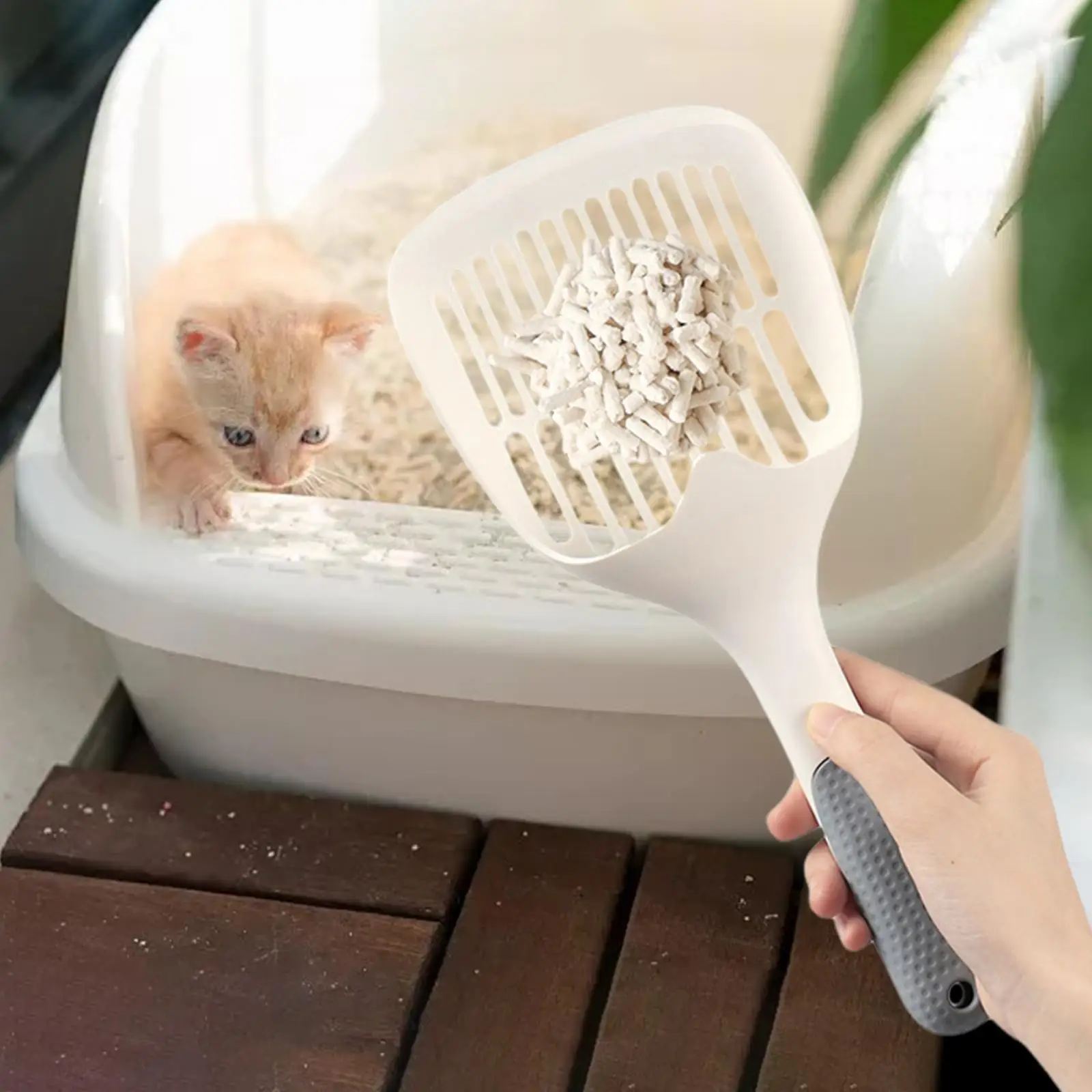 

Кошачий наполнитель, кошачий наполнитель, кошачий наполнитель