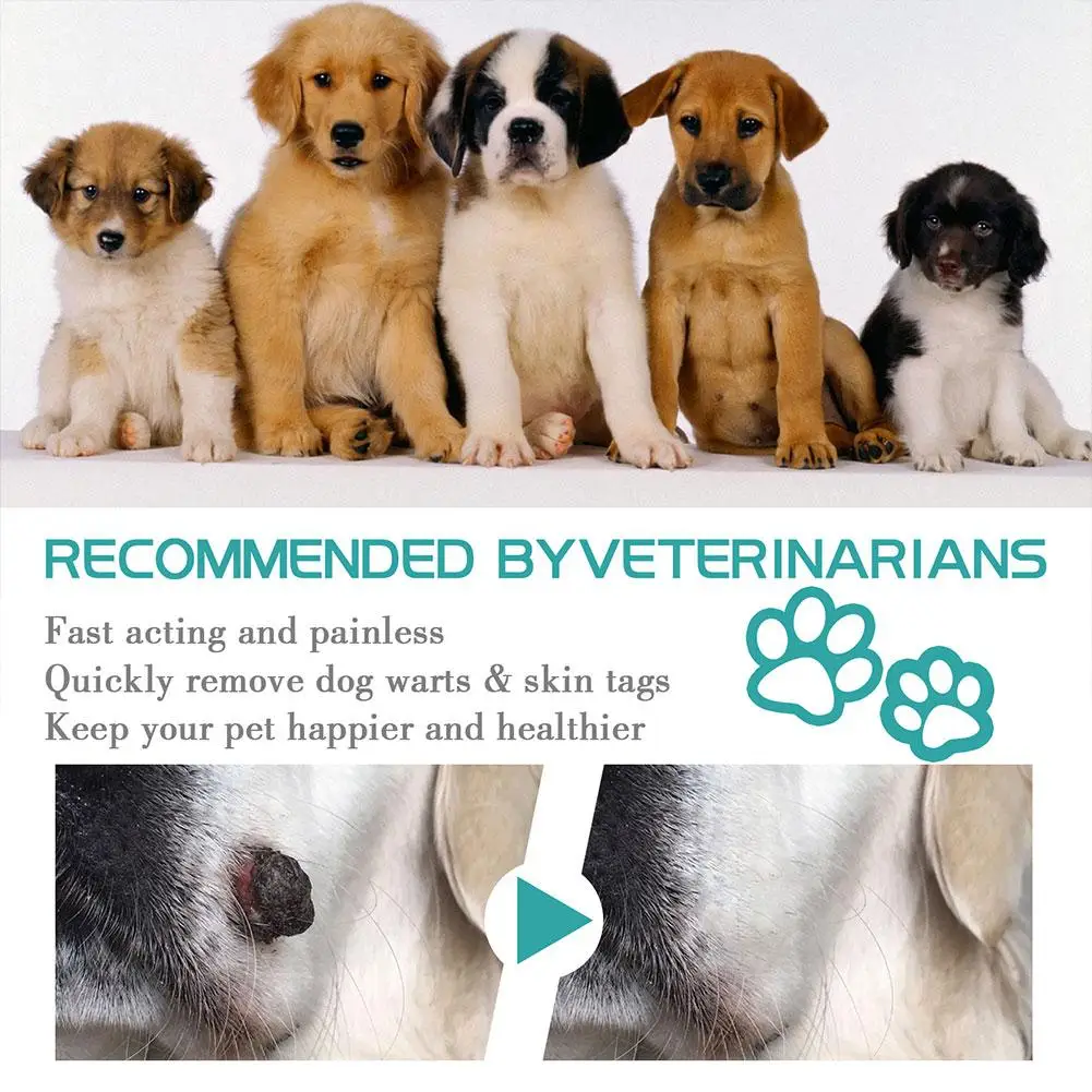 Средство для ухода за кожей домашних животных жидкость собак кошек без лечения