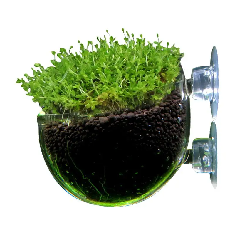 горшочки для аквариумных растений. каменные горшки для цветов. стаканчики для аквариумных растений. керамические горшочки для аквариумных растений. горшки на присосках в аквариум.