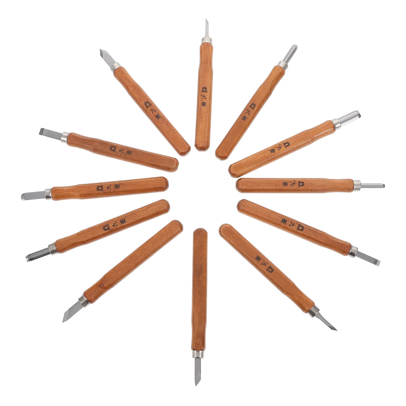 

12pcs Carving Tools with Box Wood Carving Kit Woodworking Chisels Knives