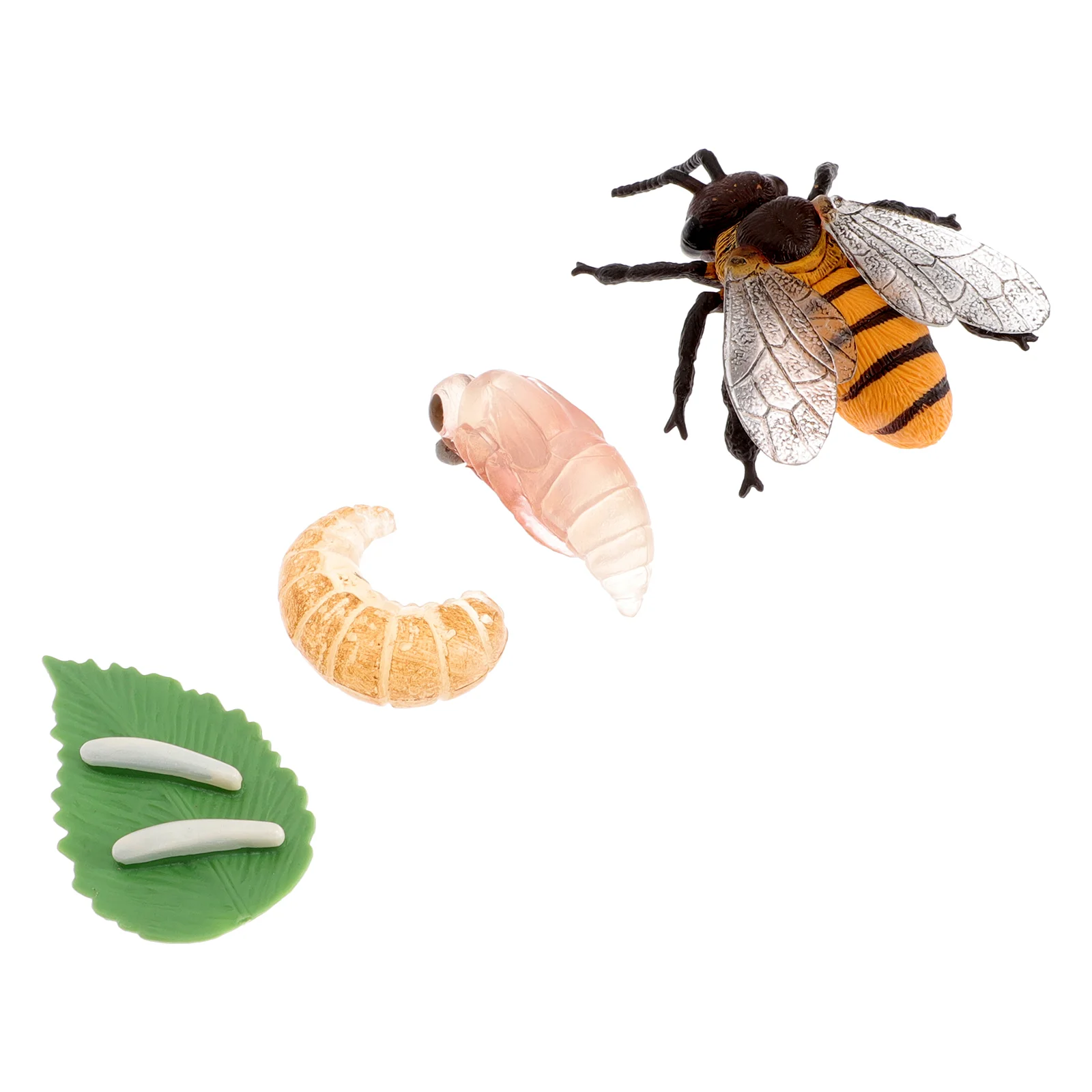 Моделирование пчел модели роста игрушки для малышей морские животные наука мини