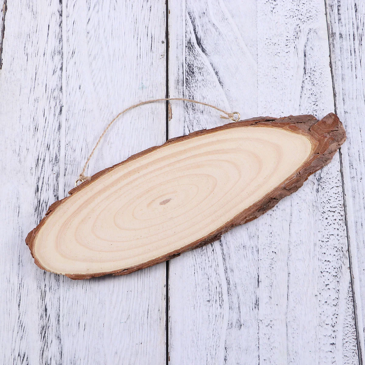 

Blank Plaque Wooden Slices Log Slices Log Oval Slice DIY Wood Slices
