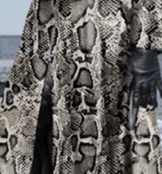 Vintage Pu Jacket  Winter  Women's Faux Leather Coat Women Fashion Snake Leopard Print Zipper Retro Coat Female