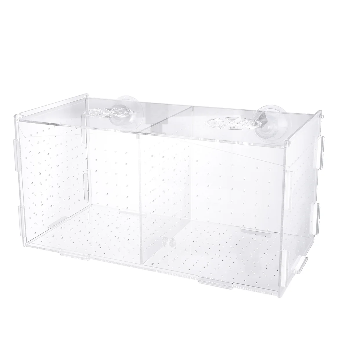 

Tankaquarium Breeder Breeding Box Birthing Isolationnet Betta Incubator Holder Hatching Boxes