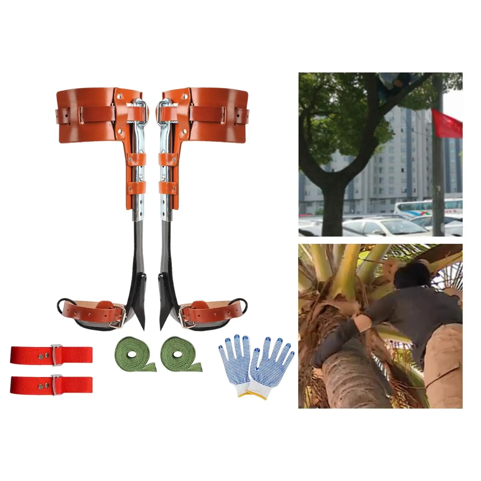 

Tree Climbing Tool Set Tree Climbing Equipment Adjustable Non Slip Steel Pole Climbing Spikes for Outdoor Sports Fruit Picking