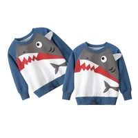 spring and fall clothes for kids toddler boy clothing cute sweatshirt long sleeve fashion tops