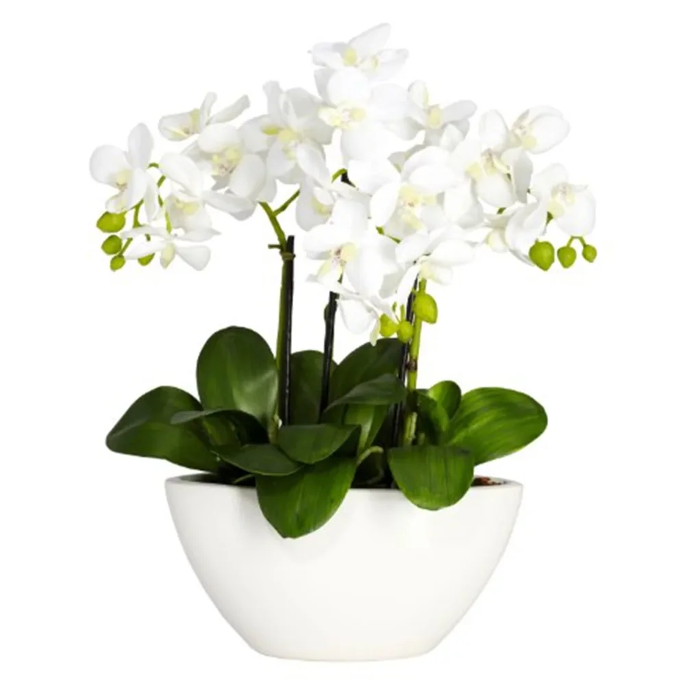 

BOUSSAC 15 In. Phalaenopsis Orchid Artificial Flowers Arrangement In White Vase, White,Artificial Flowers, Wedding Decorations