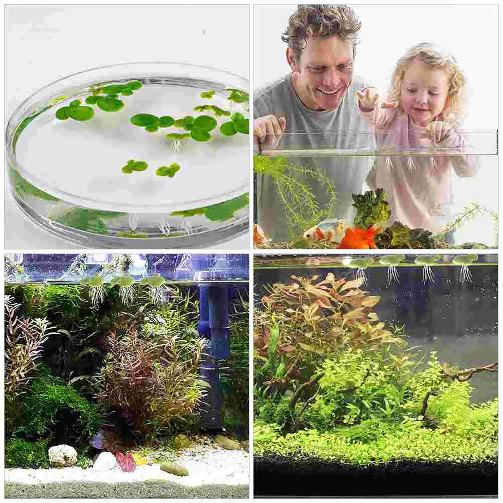 18 шт. искусственные водоросли имитация плавающих листьев аквариум пластиковая