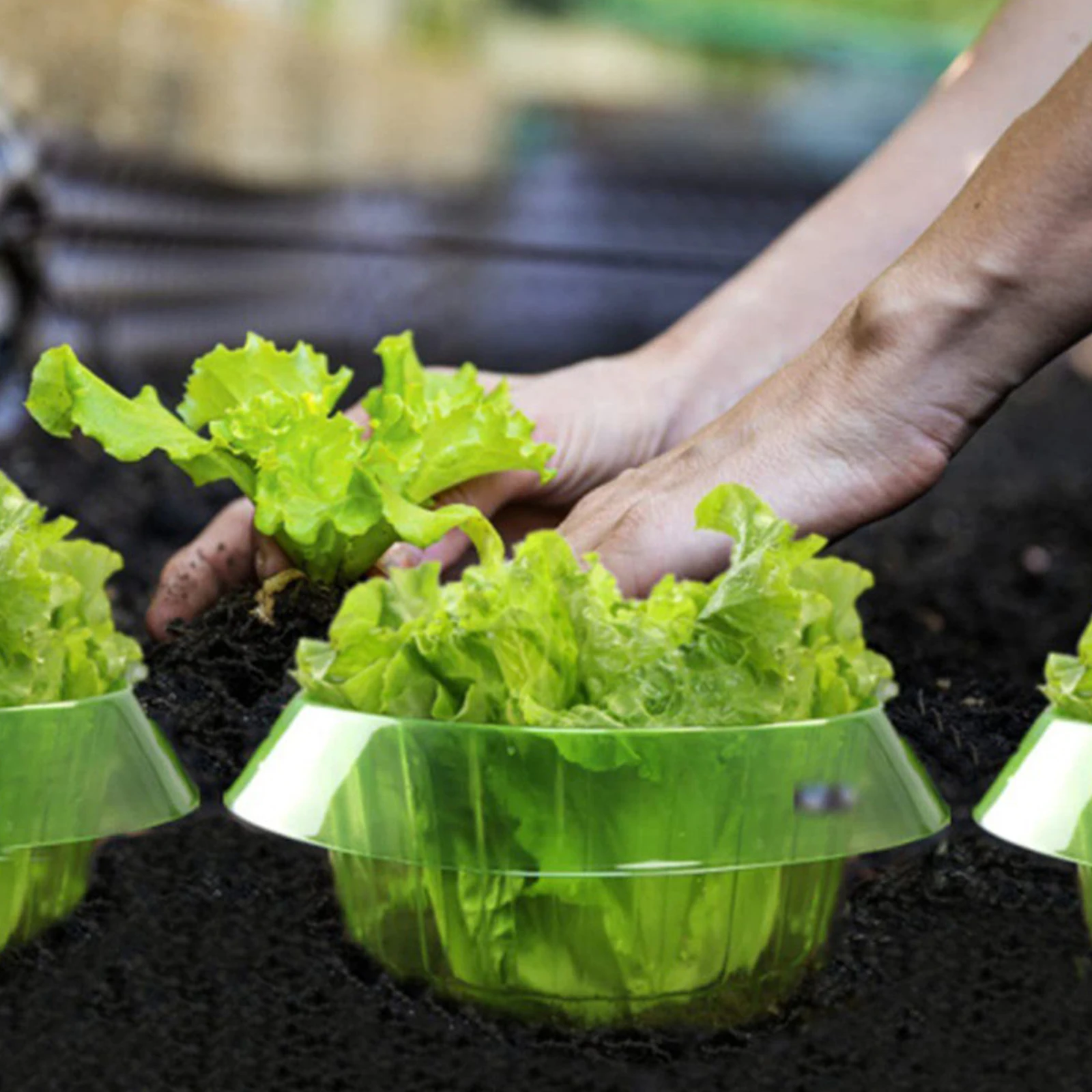 

10 шт., защитные крышки для овощей