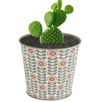 mini metal flower pot small cartoon flower picture planter pot spring summer decoration indoor outdoor plant holder for cactus