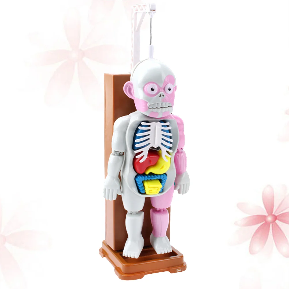 

Human Body Model Assembly Chirldren Kids Spoof Tricky Toys