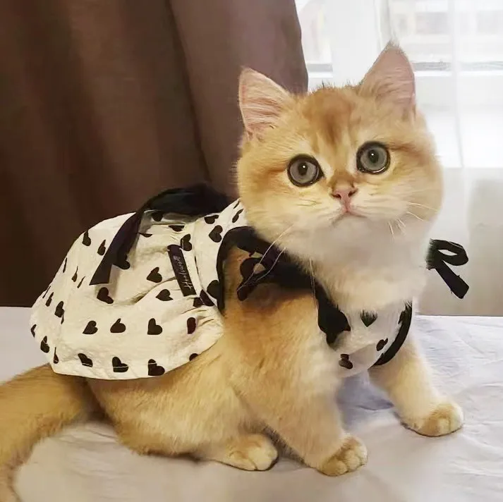 

Новинка, платье для кошки MPK, летнее тонкое платье для домашних животных, кошек, принцесс, с бантом, юбка на бретелях, подходит для собак