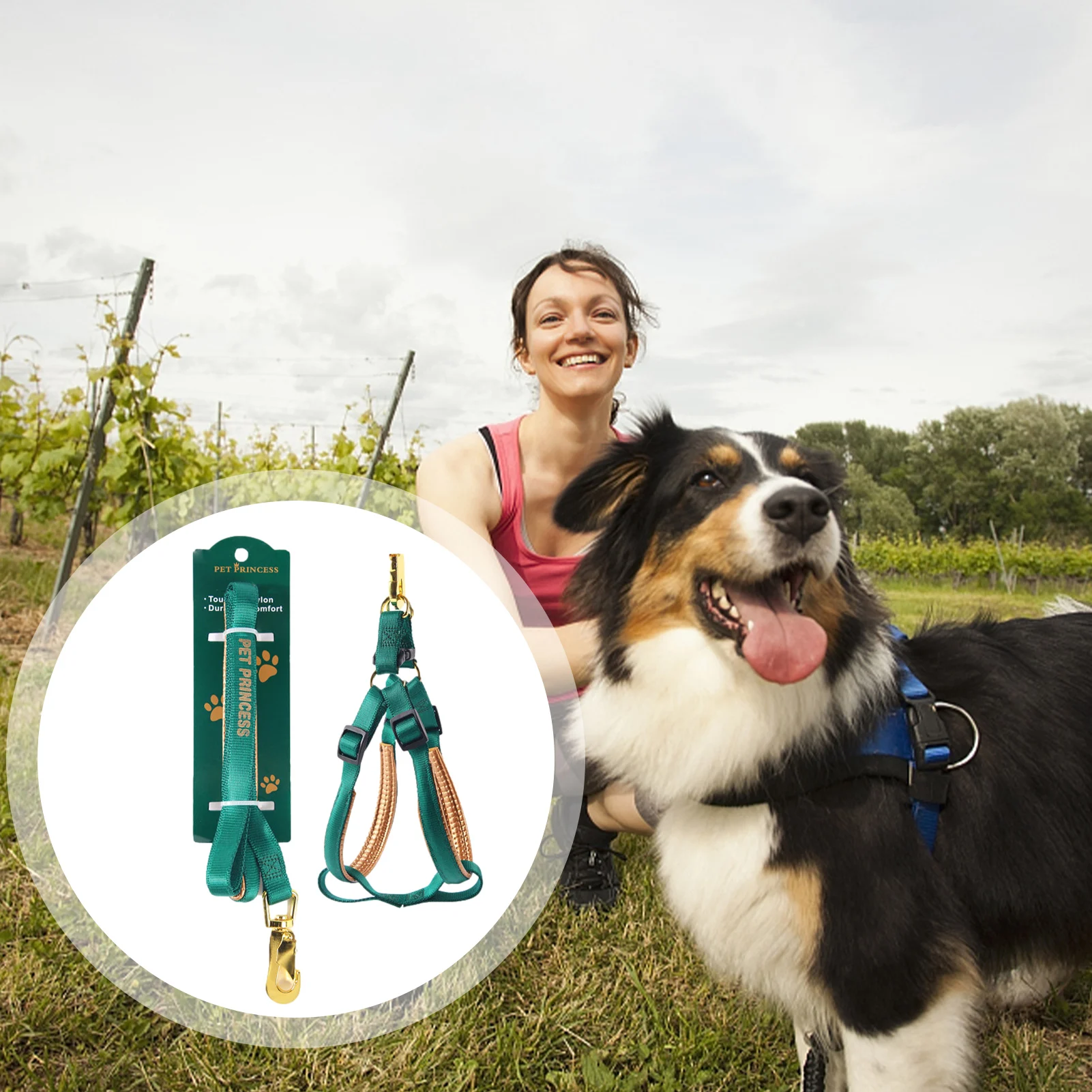 

Dog Running Harness Adjustable Small Dog Harness Puppy Soft Vest Harness Lightweight Easy For Walking Running Hiking Camping