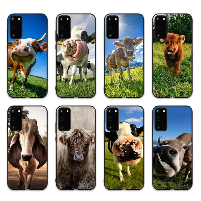 

Cow Phone Case for Samsung S10 21 20 9 8 plus lite S20 UlTRA 7edge