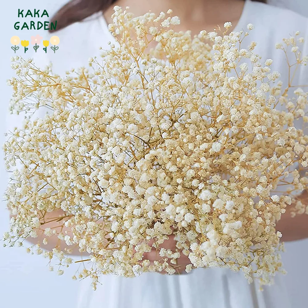 

Natural Dried Flowers Gypsophila Wedding Decoration Bridal Bouquets Baby Breath Flower Home Decor Living Room Handmade Wreaths