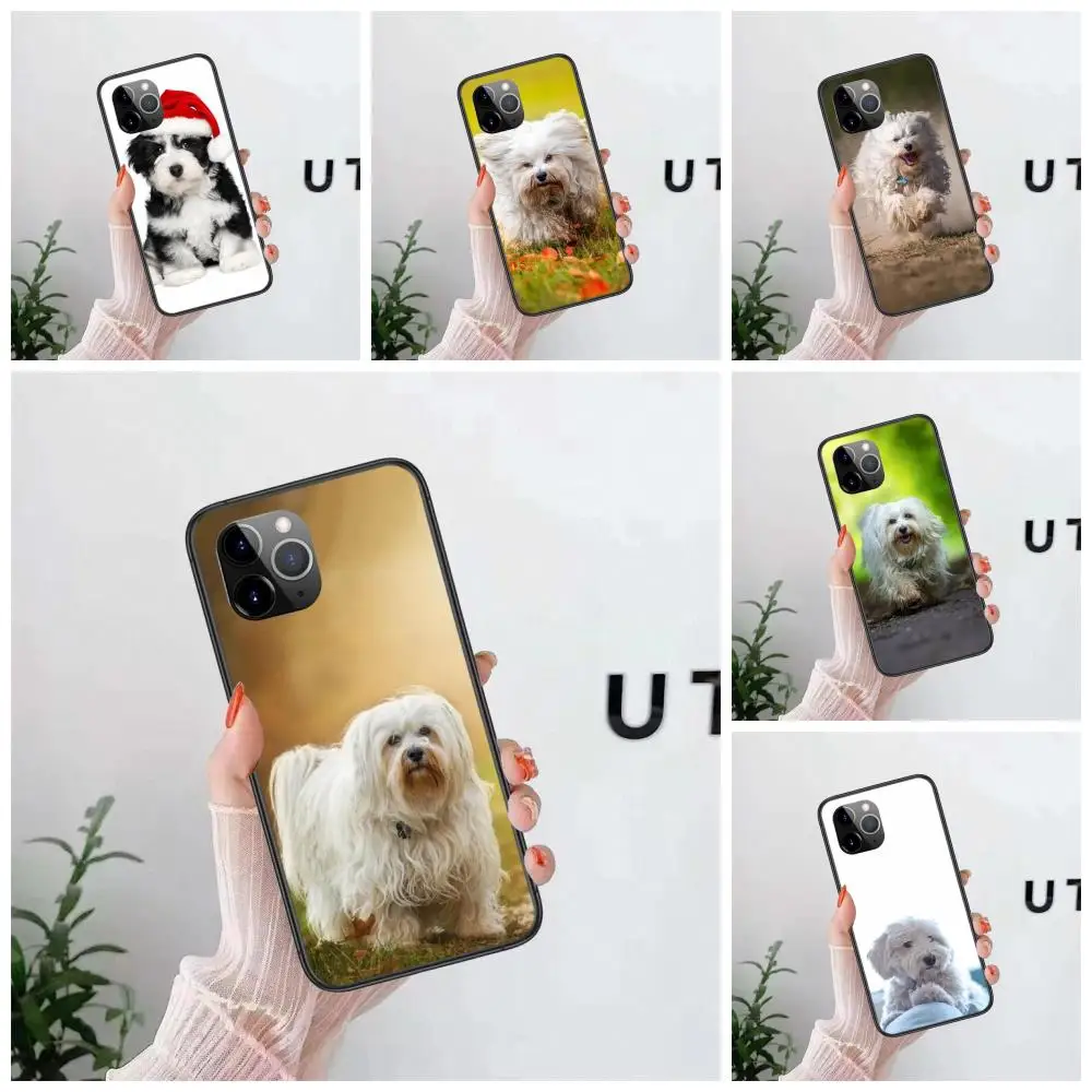 

Havanese Dog For Samsung Galaxy A12 A13 A20 A20E A20S A21 A21S A22 A3 A30S A31 A32 A40 A40S A41 A42 5G Most Expensive Black