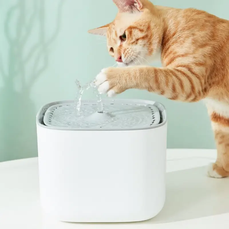 

Pet Water Fountain Dispenser For Indoor Cats & Dogs