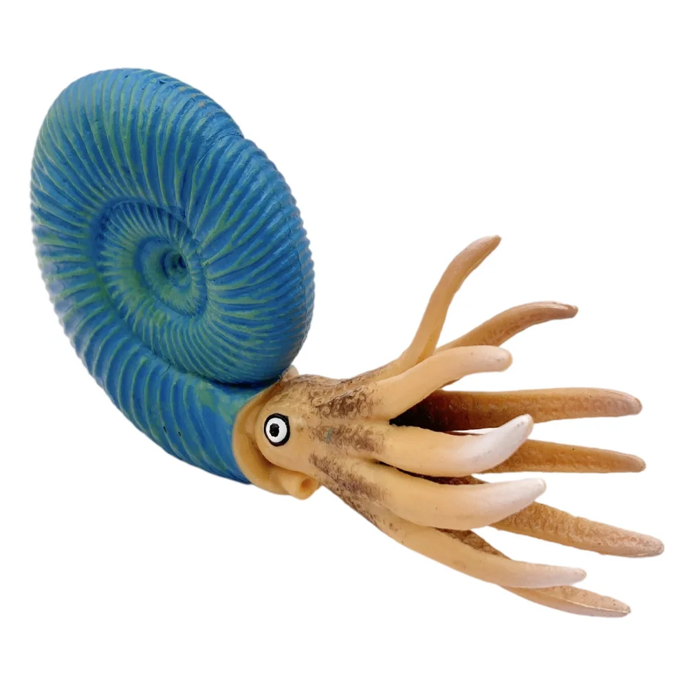 

Simulation Nautilus Model Creative Marine Animals Model Child Cognitive
