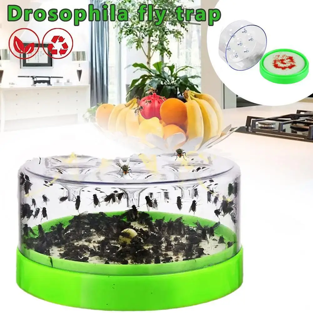 Automatic Plastic Fly Trap Device Restaurant Home Interior Insect Control Pest Repellent Gardening Tools Clean Tool Fly Killer