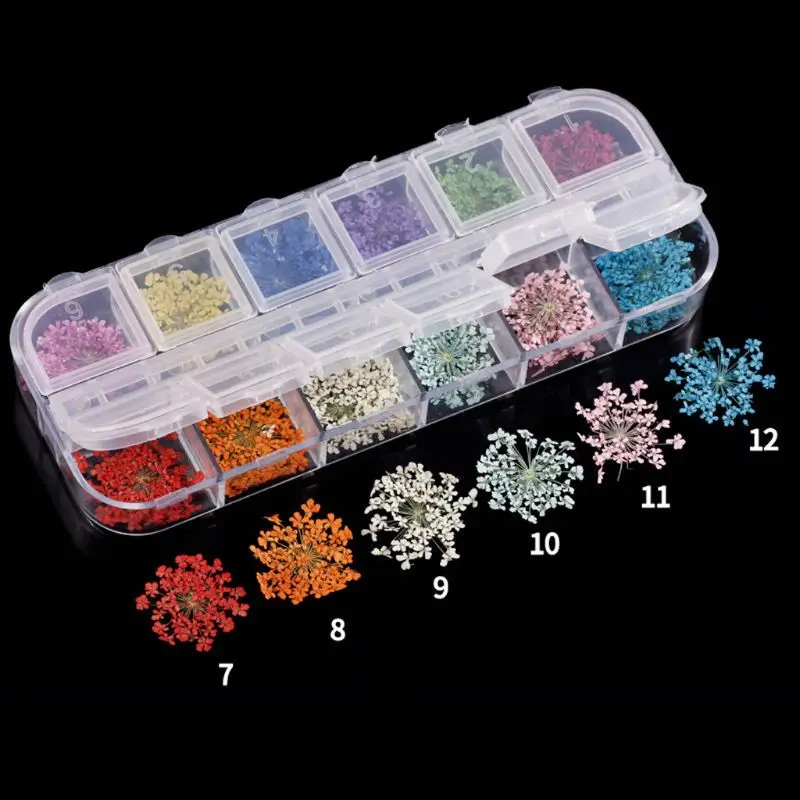 

24 Pcs/Set Natural Dried Flowers Resin Fillers Epoxy Resin Supplies Real Dried Pressed Flower Nail Art Jewelry Making Accessory