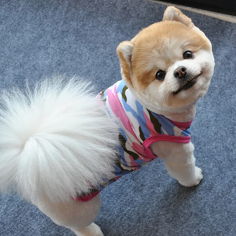 Pet T-shirt Vest Funny Cool Dog Clothes Comfortable for Small Medium Cats New Style |